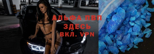 индика Алзамай