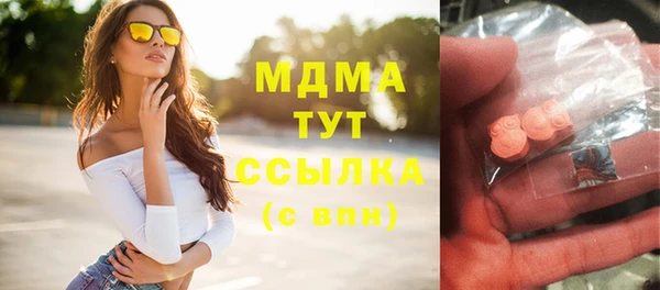 индика Алзамай