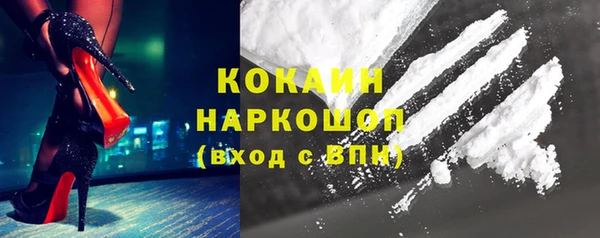 индика Алзамай